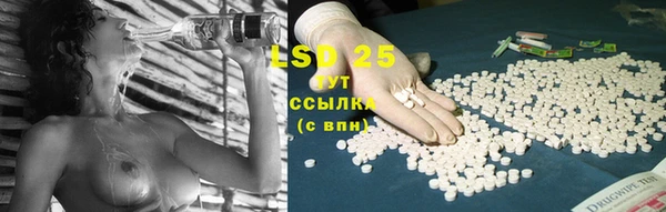 гашик Зерноград
