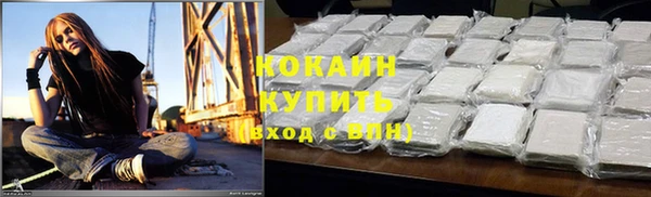 гашик Зерноград