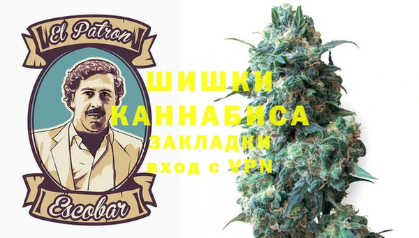 гашик Зерноград