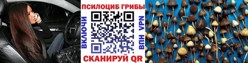 Псилоцибиновые грибы Magic Shrooms Балахна